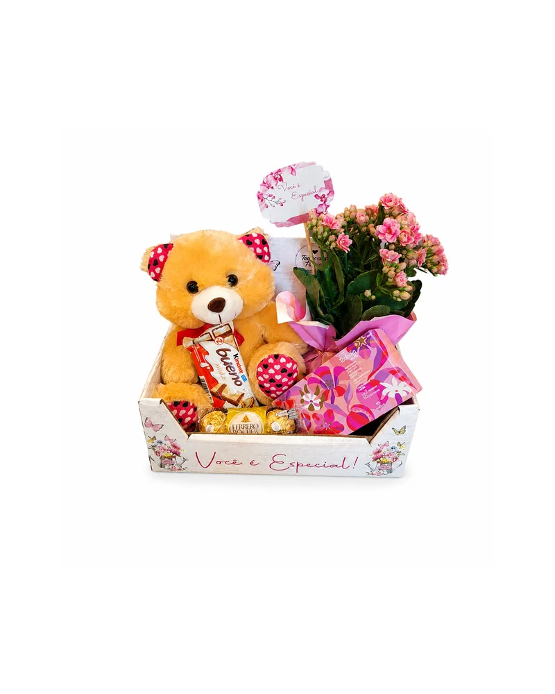 Caixa Presente com Urso Kalanchoe e Chocolates