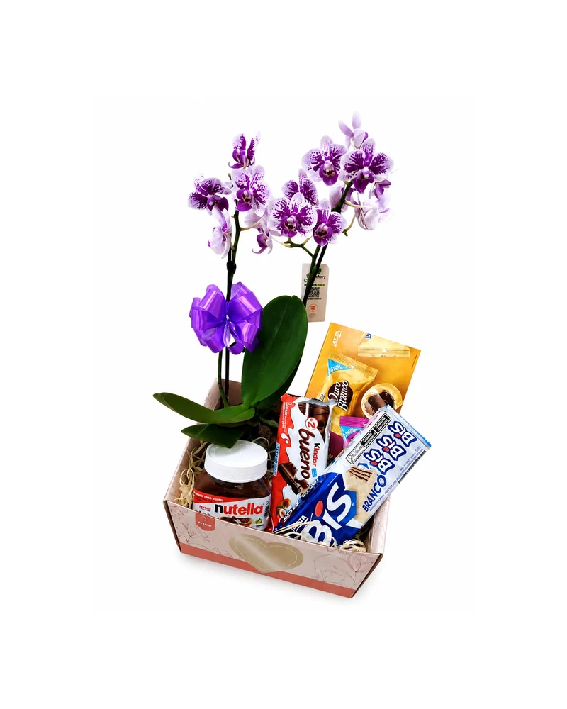 Kit de Orquídea Roxa com Nutella e Chocolates