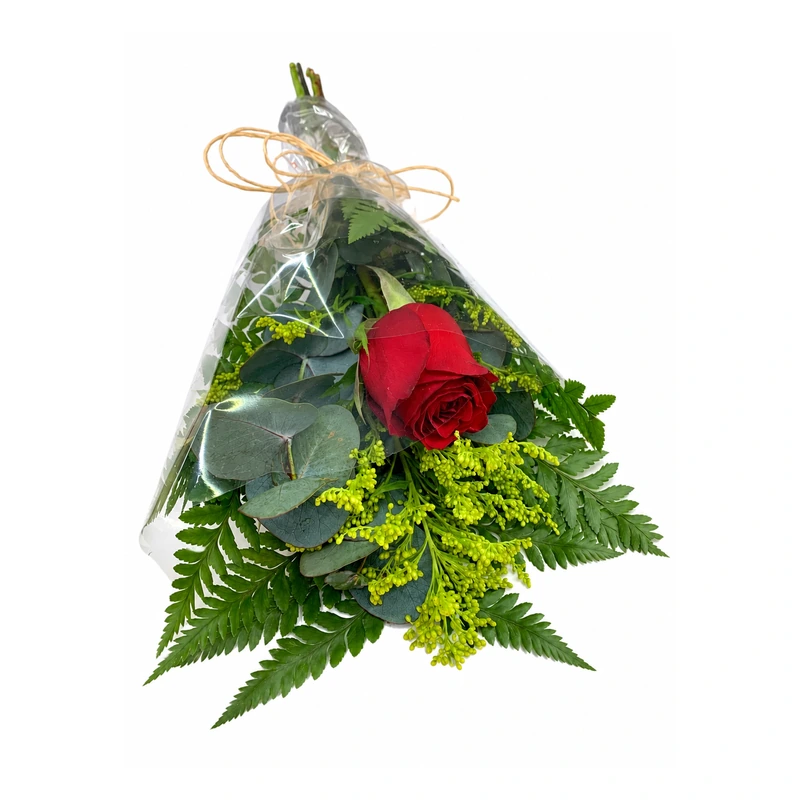 Rosa vermelha com folhagens